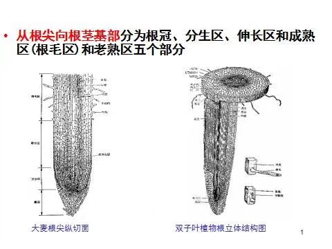 微信图片_20230521195453.jpg