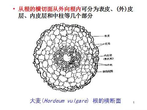 微信图片_20230521195501.jpg