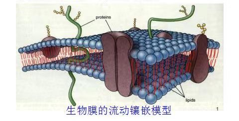 微信图片_20230521195523.jpg